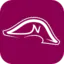 Logo Napoleon Casino